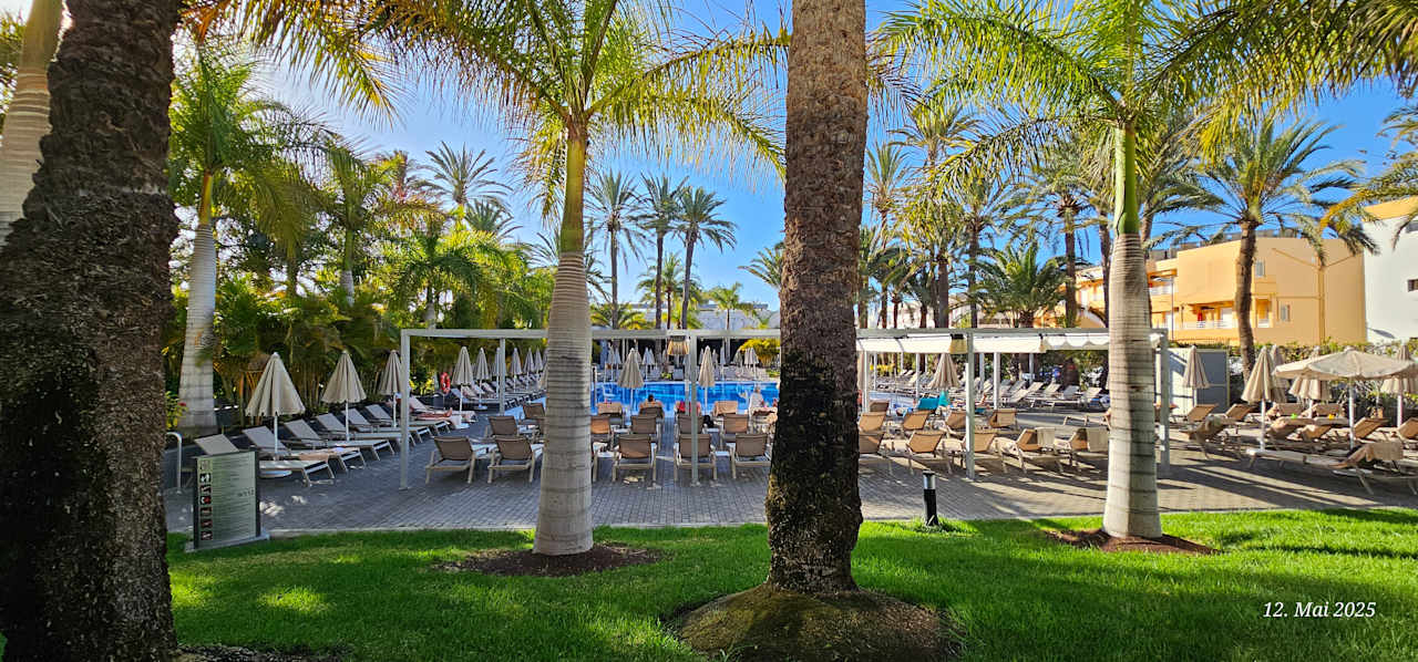 Pool Hotel Riu Palace Palmeras