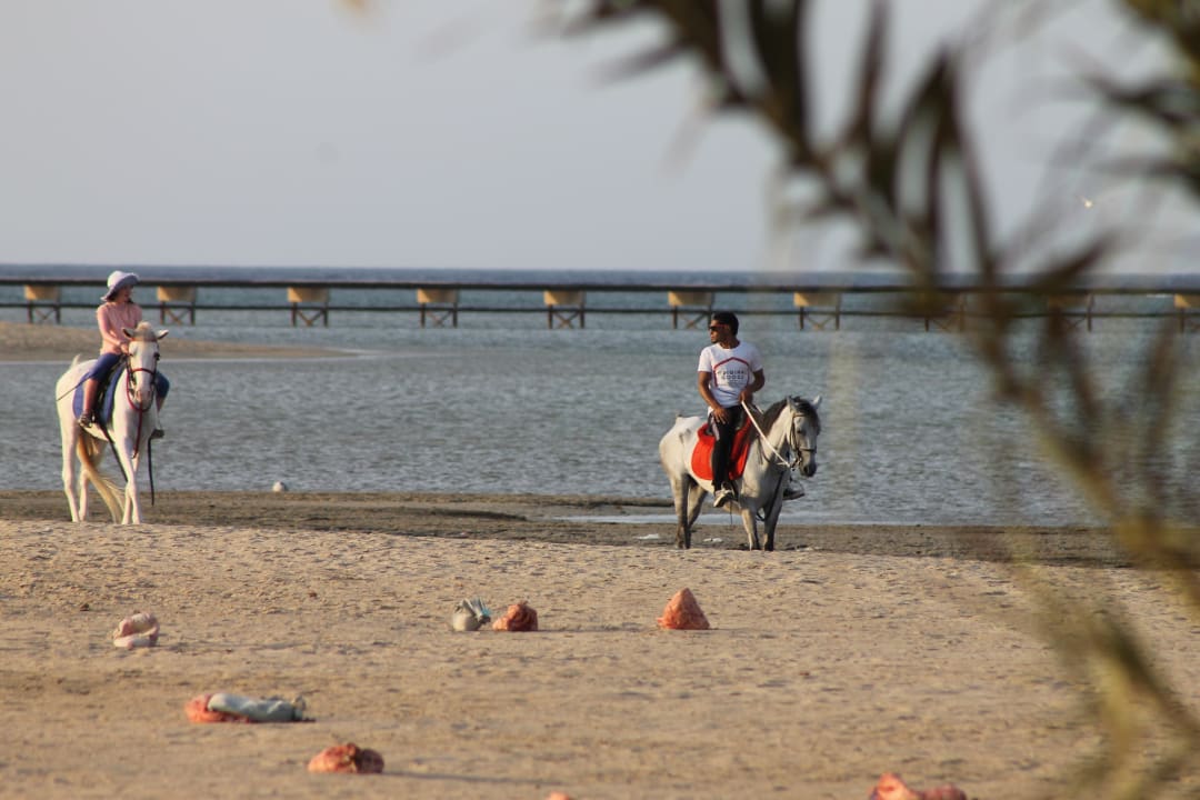 Strand Casa Mare Resort