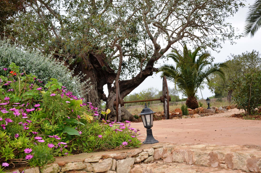 Garten Finca Son Marimon