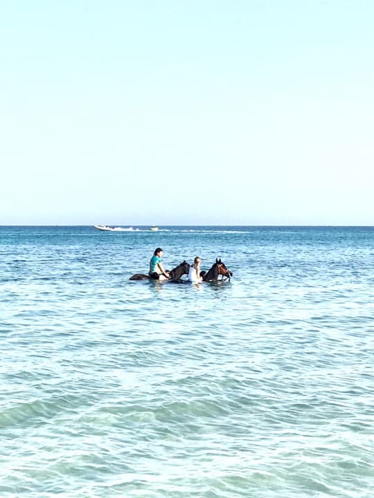 Strand Sentido Caribbean World Soma Bay