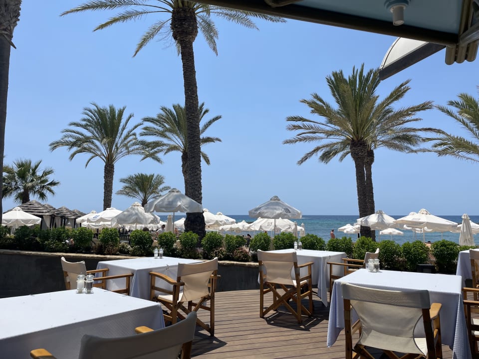 Gastro TUI BLUE Pioneer Beach