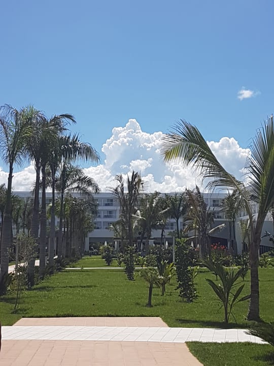Gartenanlage Hotel Riu Republica - Adults only