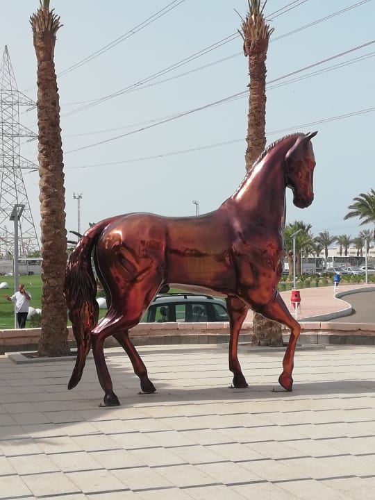 Sonstiges Pickalbatros Alf Leila Wa Leila Resort - Neverland Hurghada