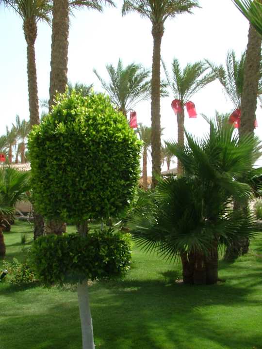 Wunderschön Riviera Aqua Park Resort