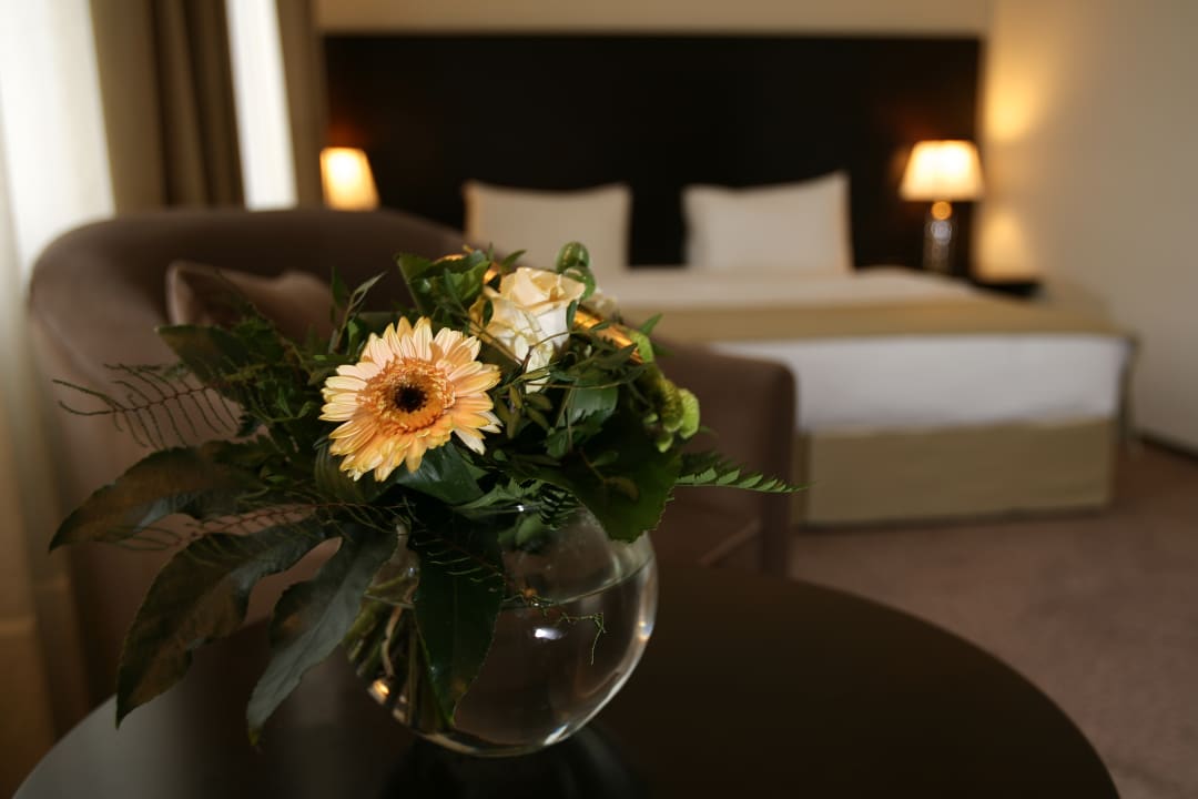 Zimmer Grand Palace Hotel Hannover