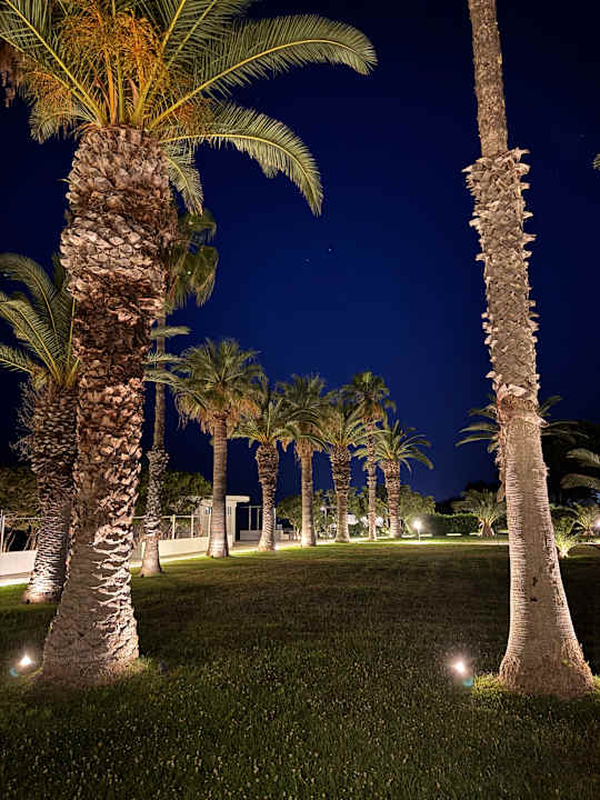 Gartenanlage Kassandra Palace Seaside Resort