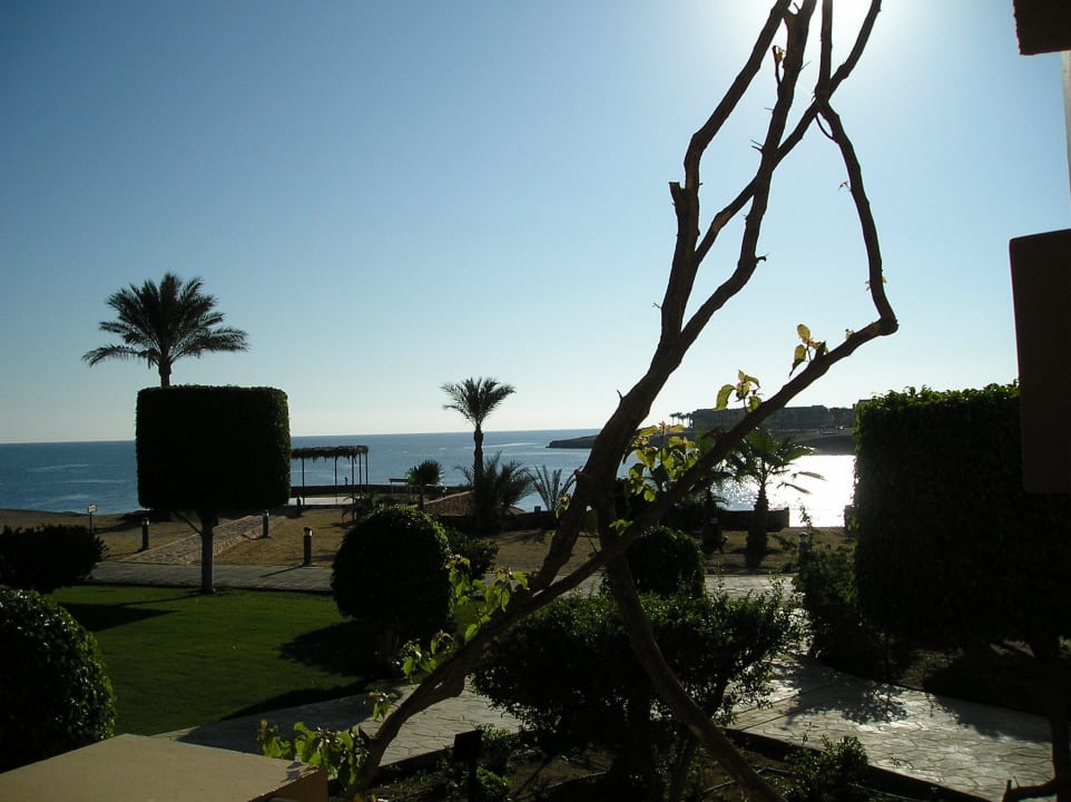 Schön Steigenberger Coraya Beach - Adults only