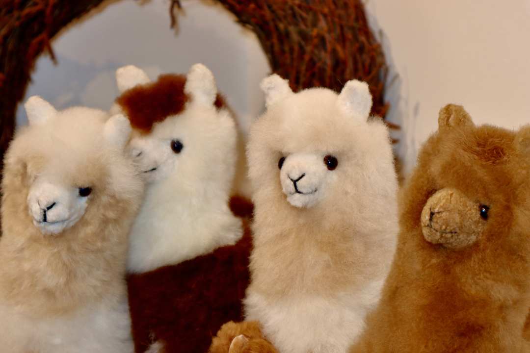 Sonstiges Familien Resort Petschnighof - Familotel Kärnten