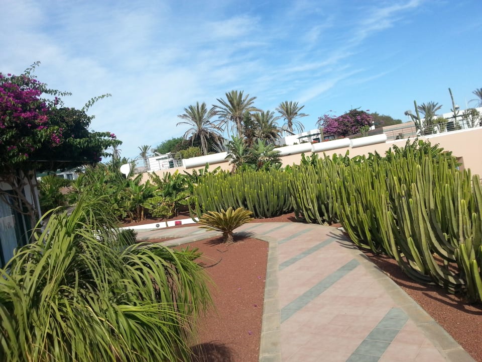 Garten Hotel HL Club Playa Blanca