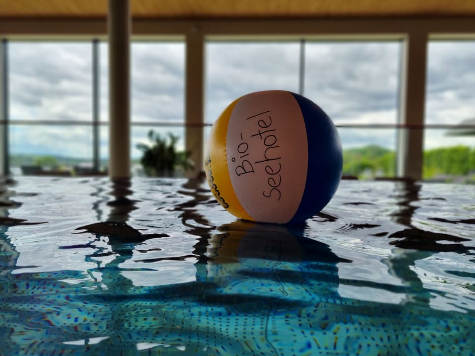 Pool Bio-Seehotel Zeulenroda