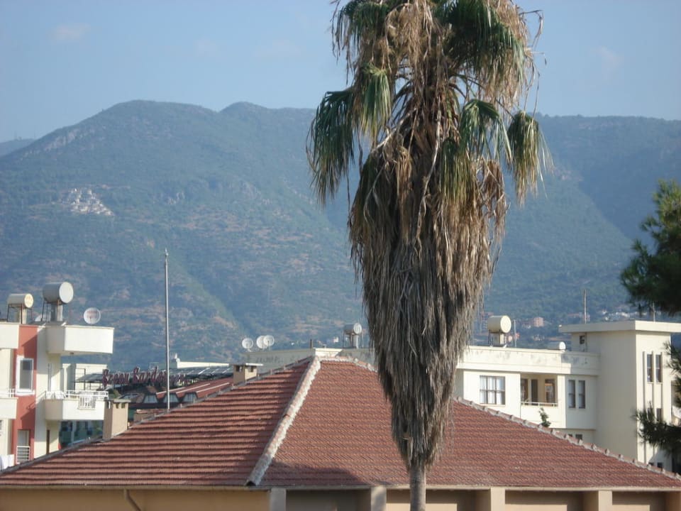 Vom Balkon  Blue Diamond Alya