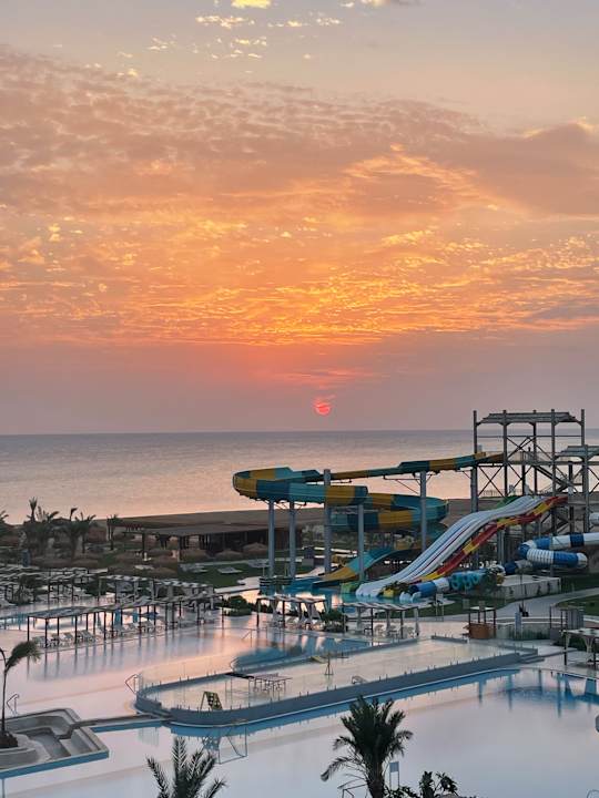 Zimmer JAZ Elite Asteria