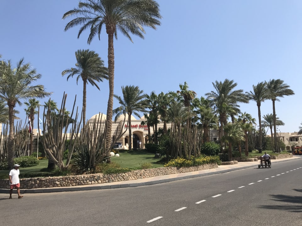 Gartenanlage Jaz Makadi Oasis Resort