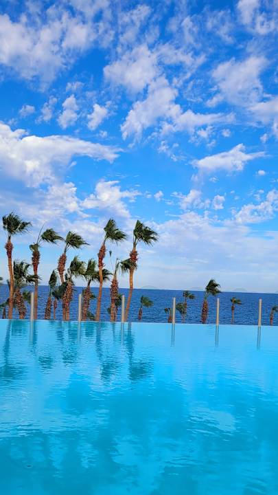 Pool Pickalbatros Citadel Resort