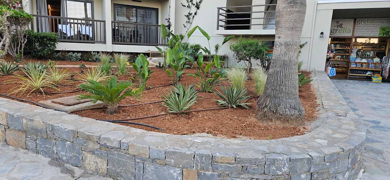 Gartenanlage allsun Hotel Malia Beach