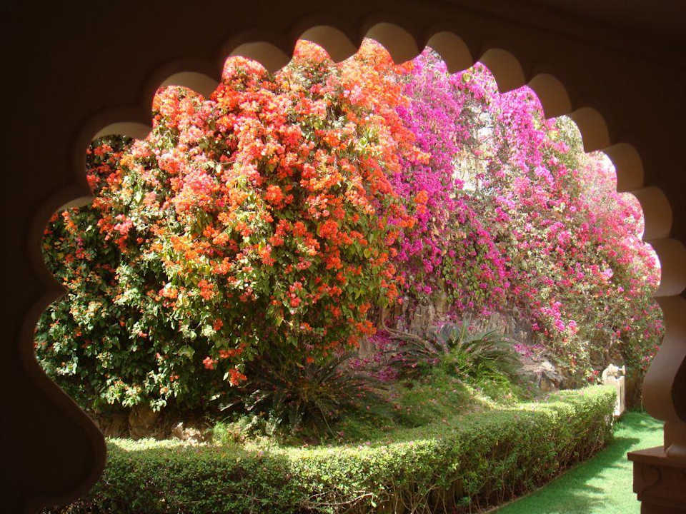 Garten The Oberoi Udaivilas Udaipur
