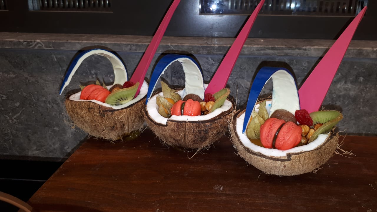 Gastro Seashell Vega