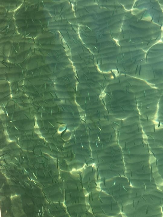 Strand Hotel Thalia Unique