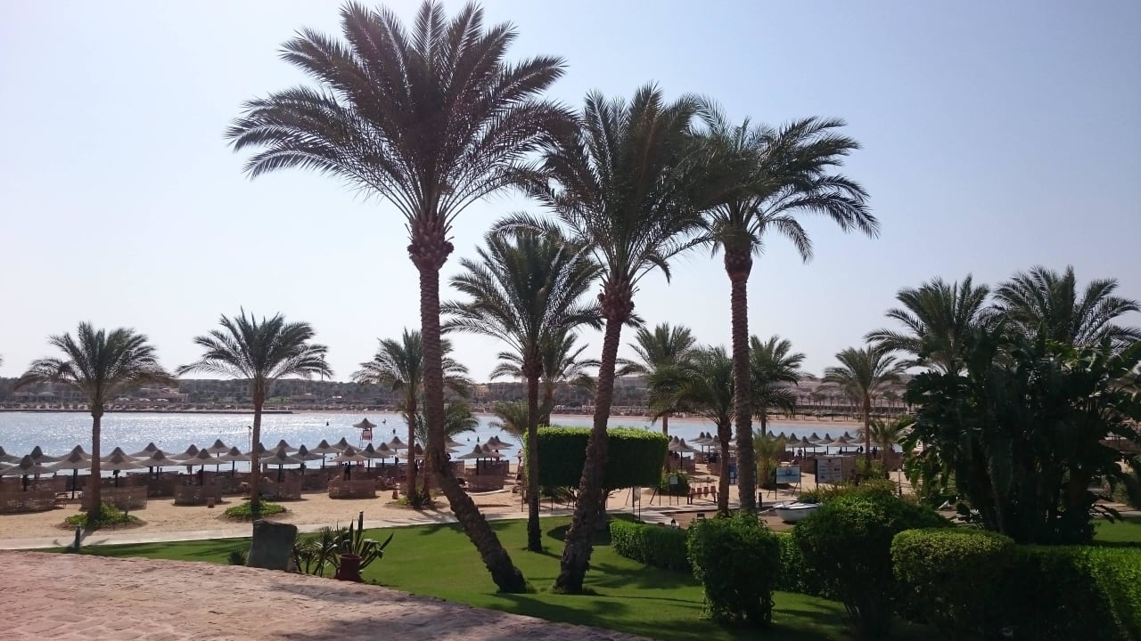 Einer der Wege zum Strand Steigenberger Coraya Beach - Adults only