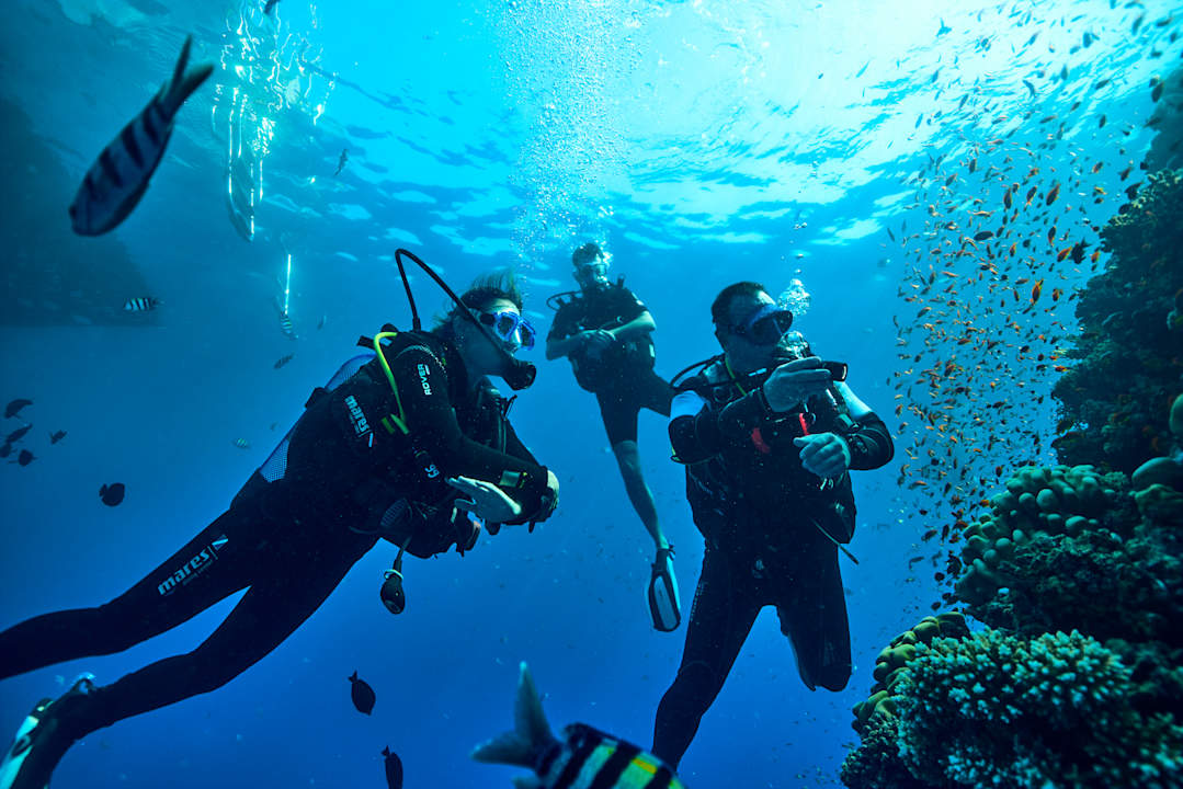 Sport & Freizeit ROBINSON SOMA BAY