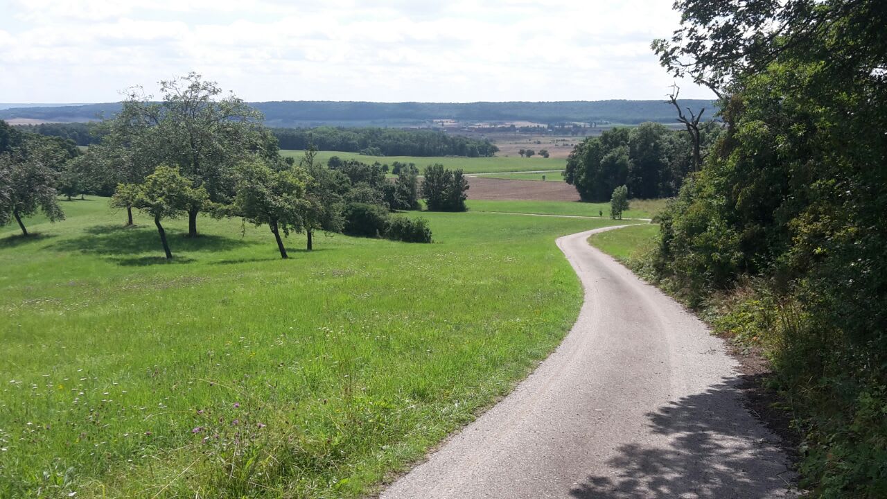 Ausblick Winzer-Bauernhof Felbinger
