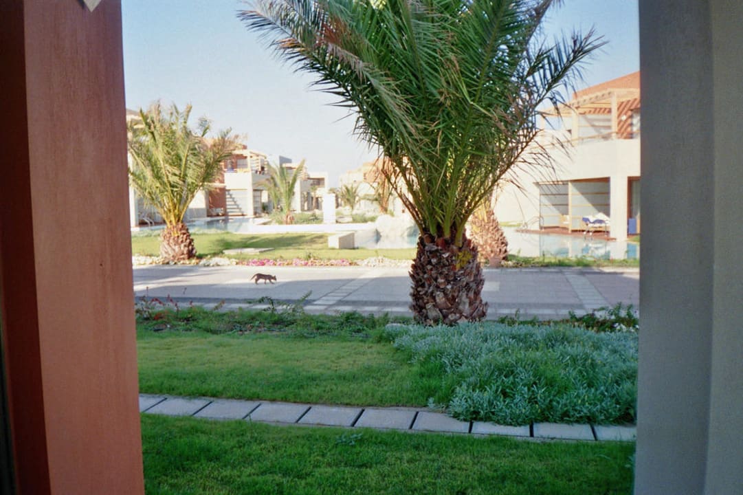 Ausblick von der Zimmerterrasse Astir Odysseus Kos Resort & Spa