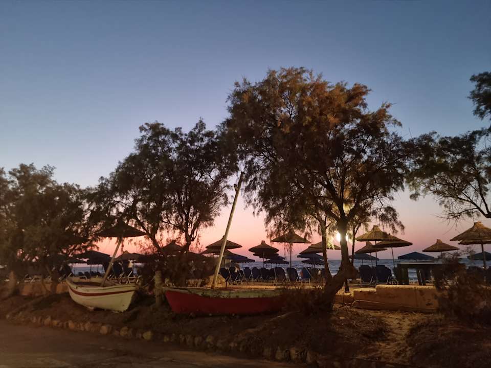 Gartenanlage Anissa Beach & Village