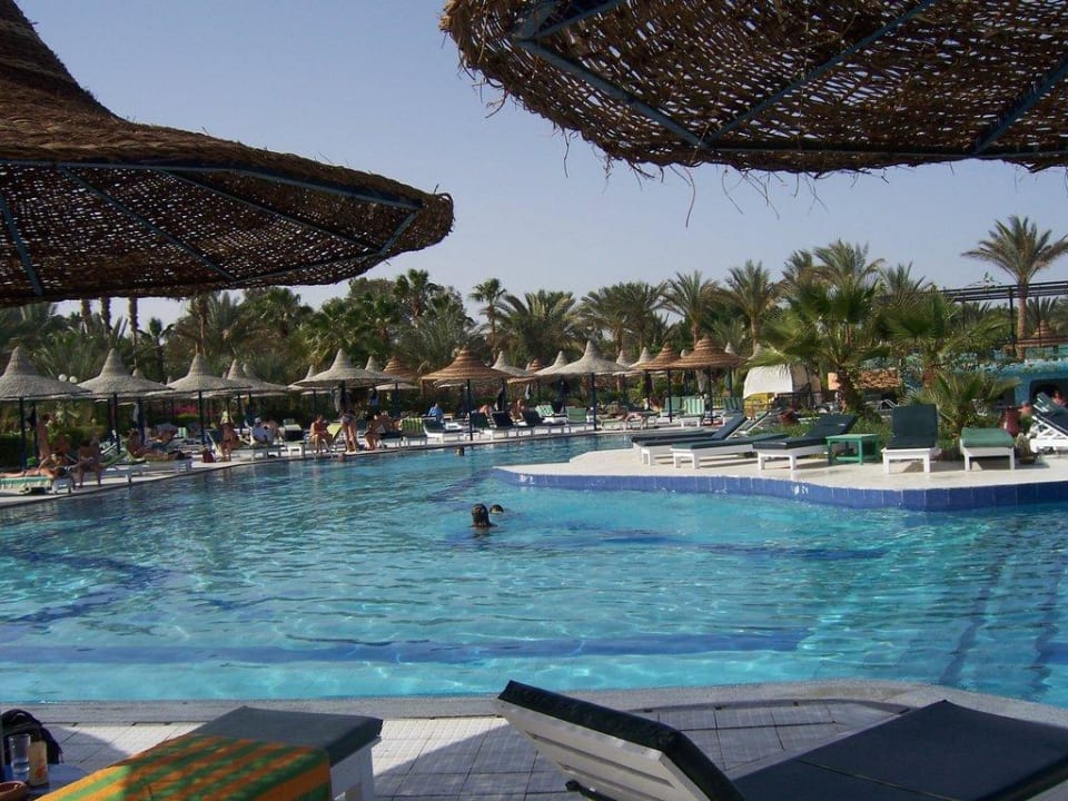 Pool Giftun Azur Resort