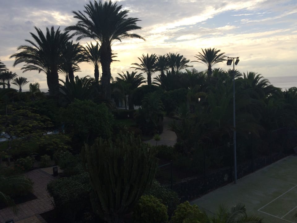 Gartenanlage R2 Rio Calma Hotel & Spa & Conference