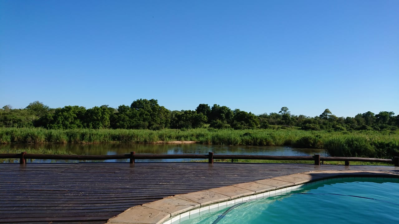 Pool Sabie River Bush Lodge