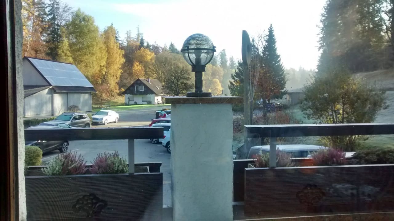 Blick aus dem Gastraum Nationalpark - Hotel Waldsägmühle