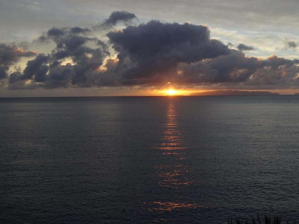 Ausblick Hotel Royal Orchid