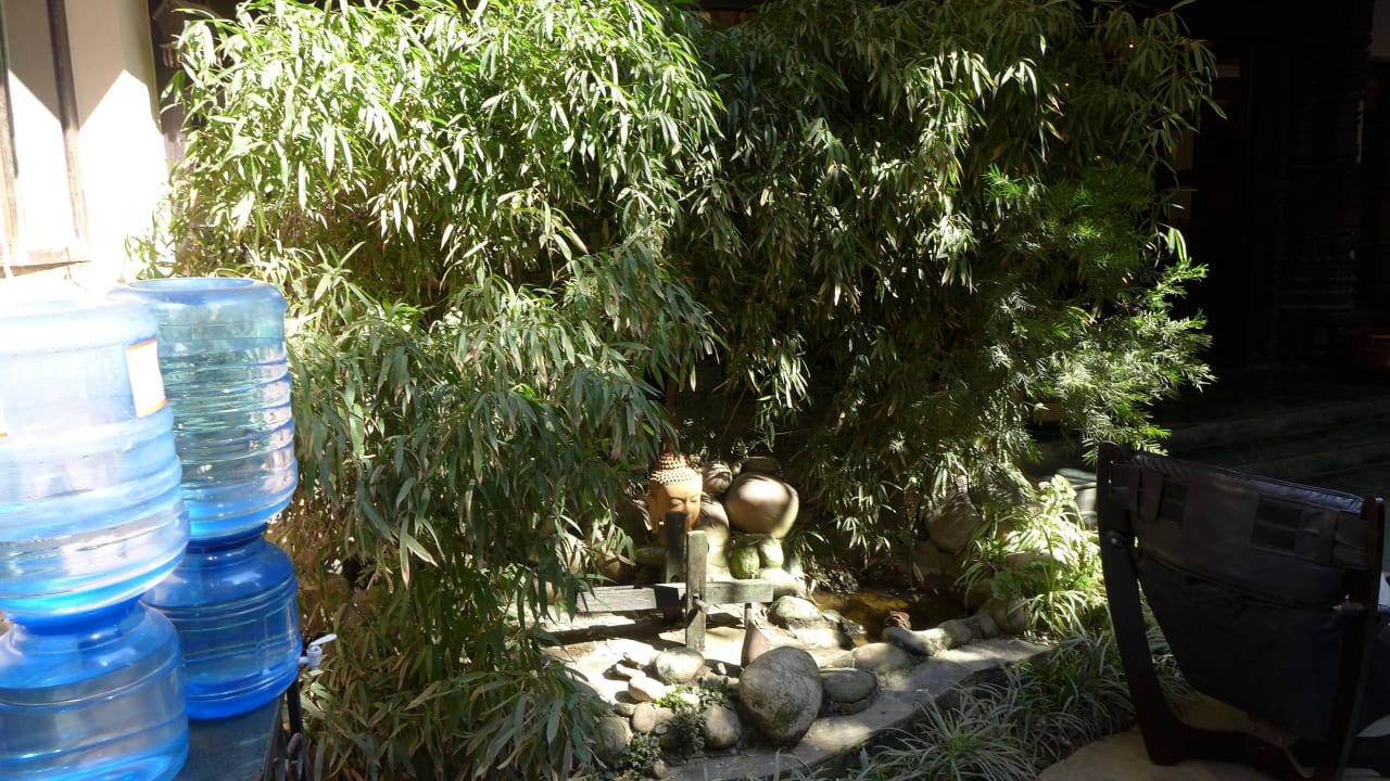 Kleiner Minigarten am Eingang Hotel Holy Himalaya