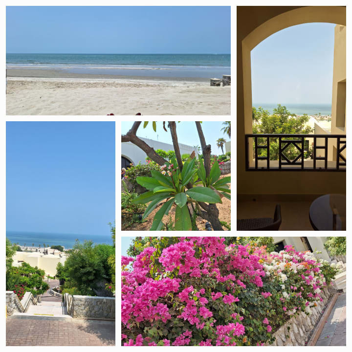 Außenansicht The Cove Rotana Resort