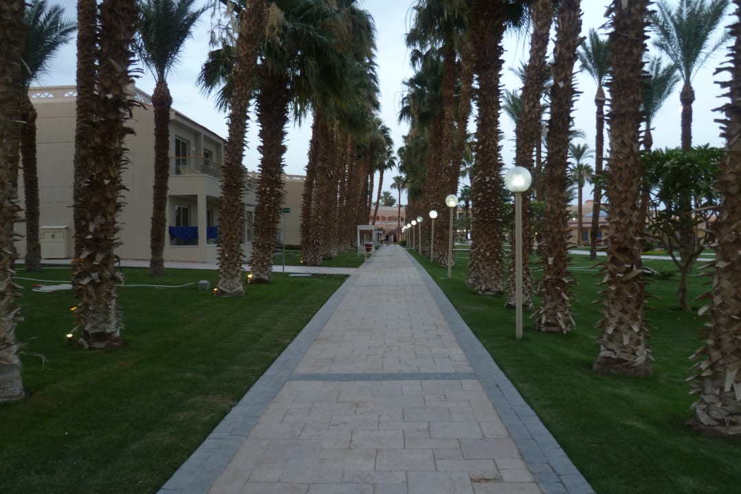 Gartenanlage Beach Albatros Resort