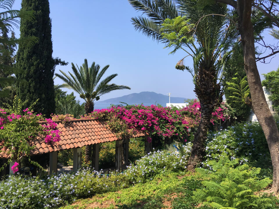 Gartenanlage Hapimag Sea Garden Resort