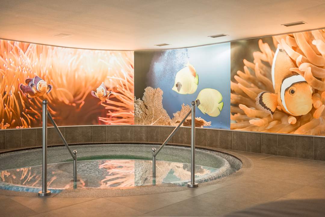 Pool Feldhof DolceVita Resort