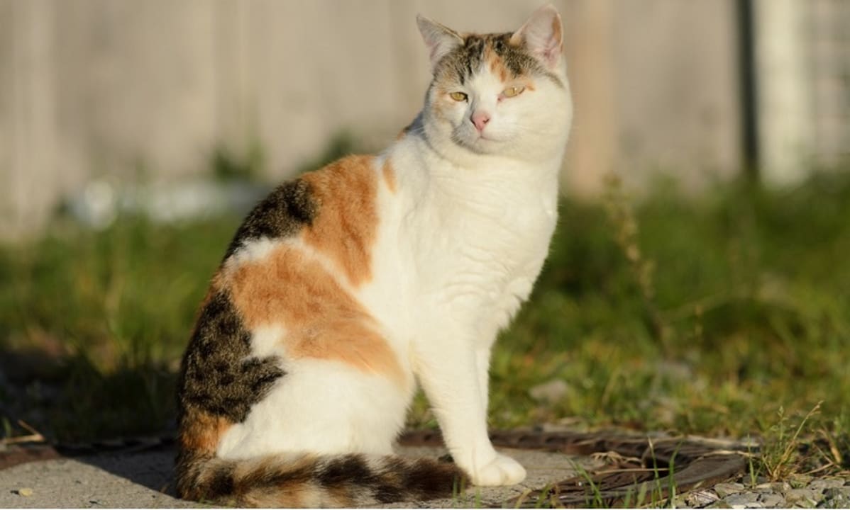 Sonstiges Hofgut Ratzenberg