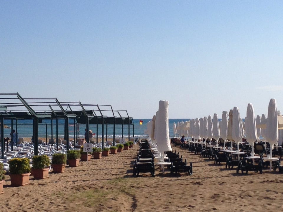 Strand mit Blumenkübeln als Lärmschutz Commodore Elite Suites & Spa - Adults only