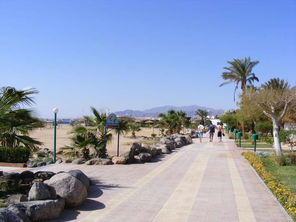 Hotel-Strand Shams Safaga Resort