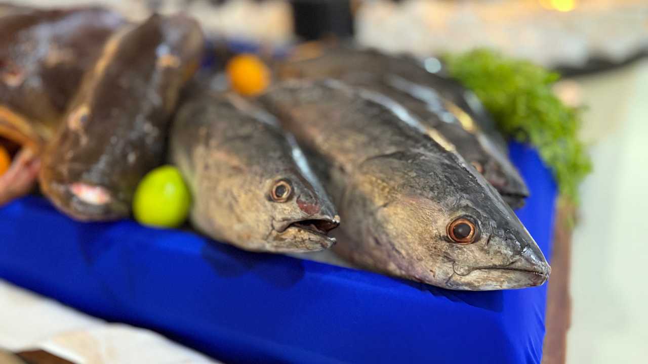 Gastro ROBINSON DJERBA BAHIYA