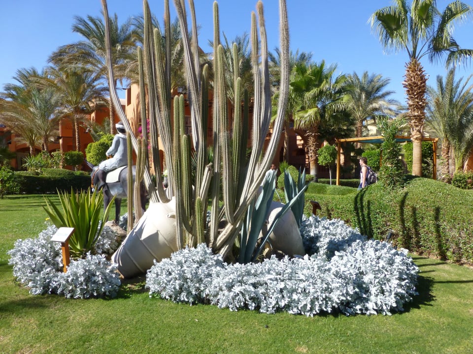 Super gepflegte Gartenanlage Jaz Makadi Blue - TUI BLUE Makadi - Adults Friendly 16 Years Plus