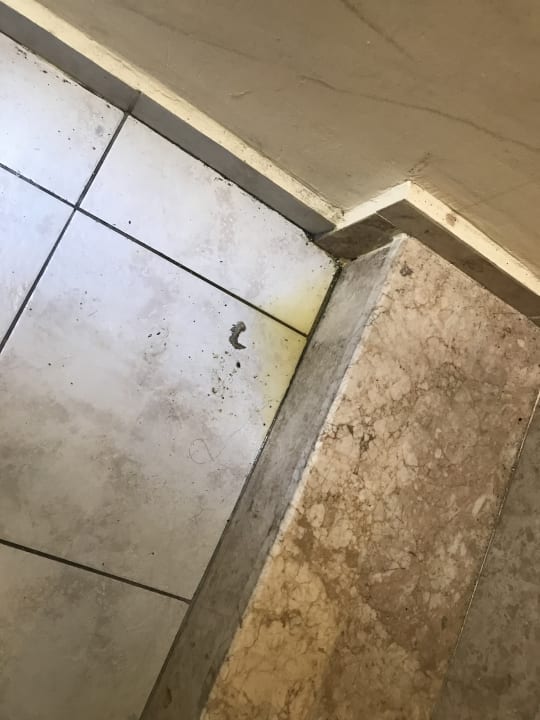 Zimmer Hotel Kleopatra Bebek