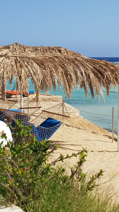 Strand Blue Reef Red Sea Resort