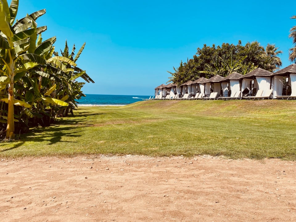 Gartenanlage Constantinou Bros Athena Royal Beach Hotel