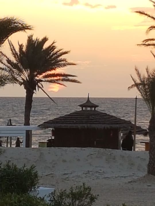Strand Hotel El Mouradi Djerba Menzel