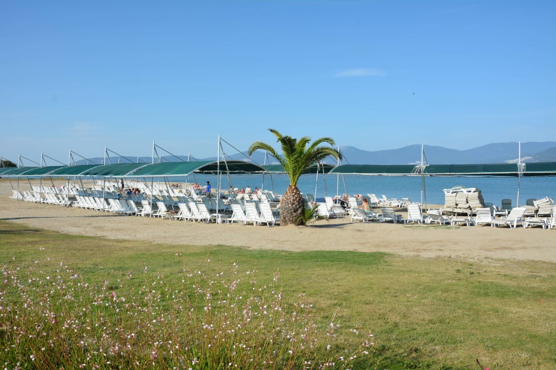 Plaża Venosa Beach Resort & Spa