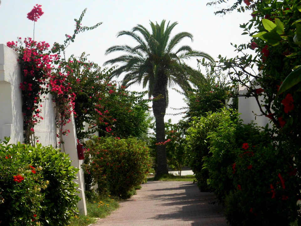 Weg zum Strand El Mouradi Club Kantaoui