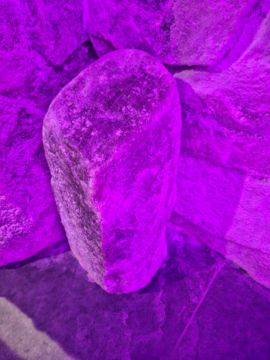 Pool Apartel Uzhhorod