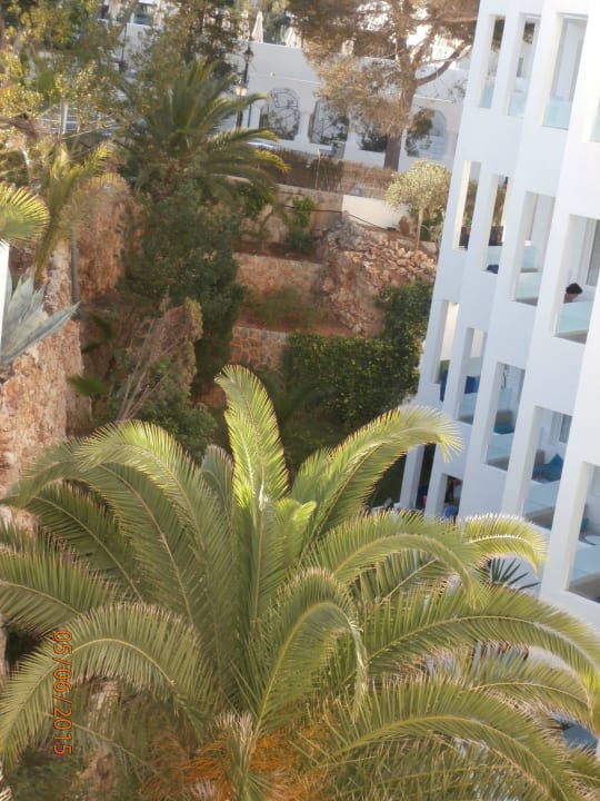 Gartenblick Grupotel Rocador